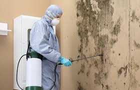 Best Mold Documentation for Insurance Claims  in Upland, PA